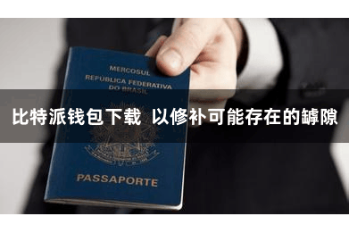 比特派钱包下载  以修补可能存在的罅隙